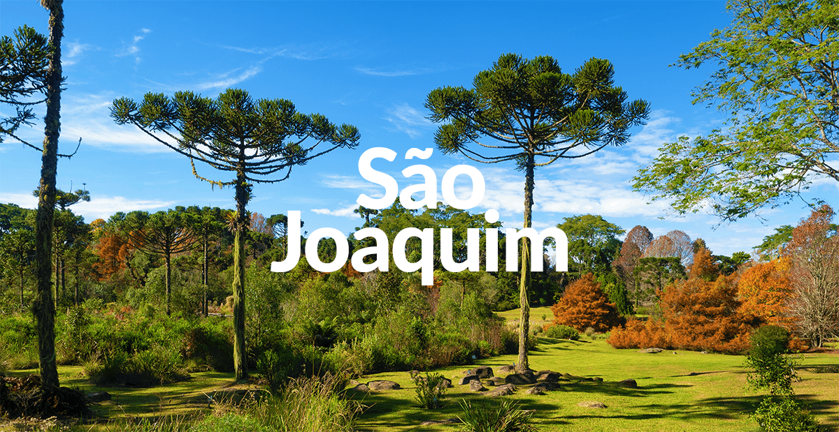 O inverno é sua estação favorita? Se a resposta for sim, aproveite as baixas temperaturas da cidade catarinense, São Joaquim, famosa por ser uma das mais frias do Sul e do país todo!